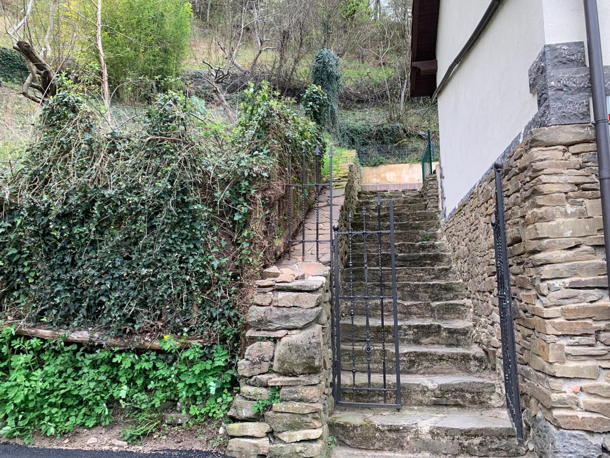 Casa Rural En Santa Cruz-Mieres Bustiello  Exterior photo